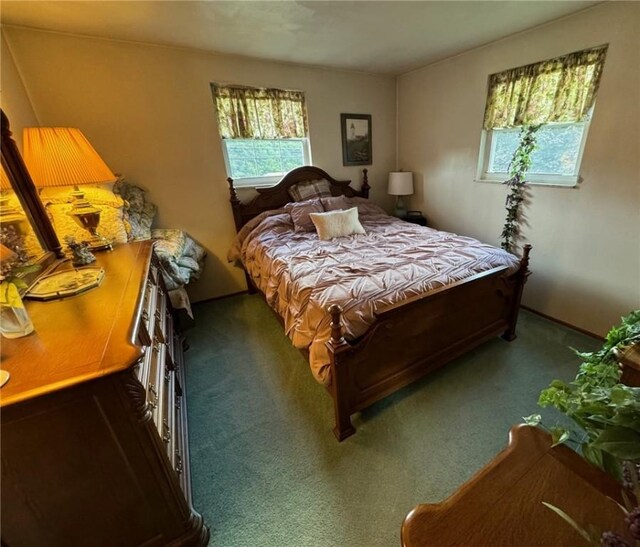 111 Greenview Dr, Verona, PA 15147 - bedroom featuring carpet floors
