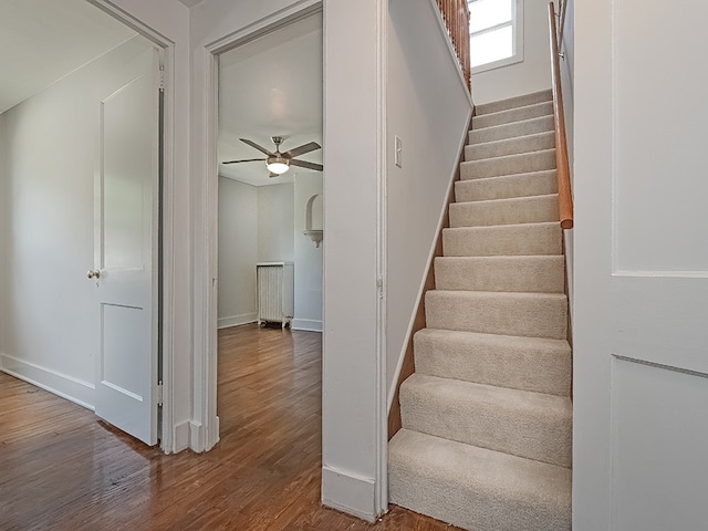 6656 Wilkins Ave, Squirrel Hill, PA 15217 - stairs with wood finished floors and a ceiling fan