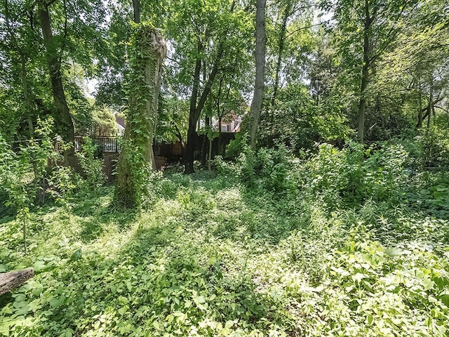 6656 Wilkins Ave, Squirrel Hill, PA 15217 - view of wooded area