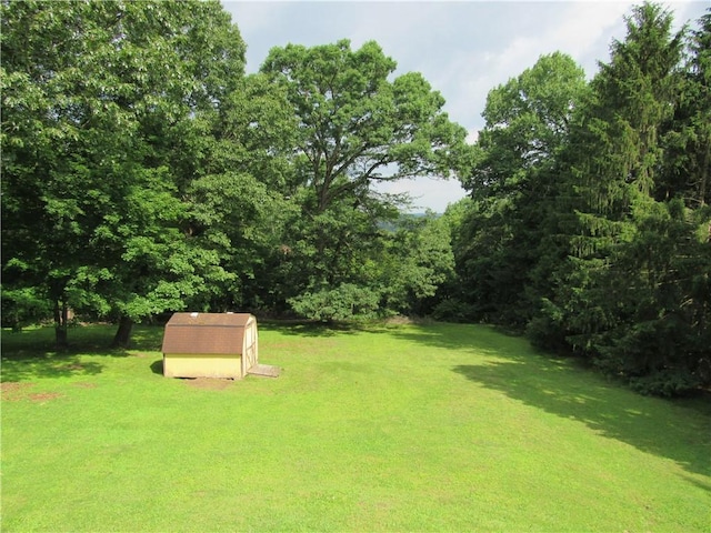 1764 Rose St, Lower Burrell, PA 15068 - view of grassy yard with an outbuilding