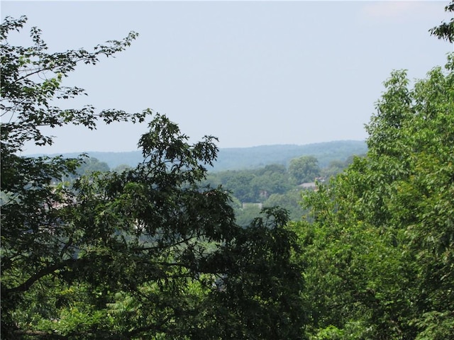 1764 Rose St, Lower Burrell, PA 15068 - mountain view with a forest