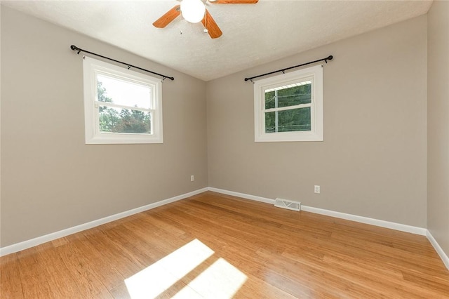 453 Falls Ave, Neshannock Twp, PA 16105 - spare room featuring healthy amount of natural light, light wood-type flooring, and ceiling fan