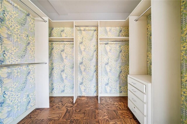 128 N Craig St Unit 703, Oakland, PA 15213 - view of walk in closet