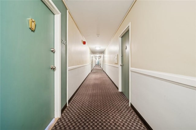 128 N Craig St Unit 703, Oakland, PA 15213 - corridor with carpet floors