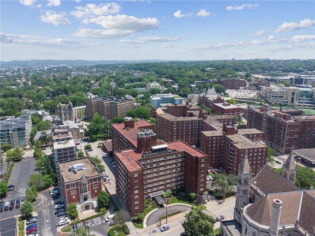 128 N Craig St Unit 703, Oakland, PA 15213 - view of urban area