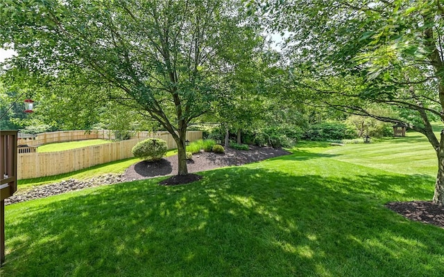 3150 Sundance Ct, Hampton, PA 15101 - view of yard