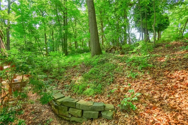 113 S Heide Ln, Peters Twp, PA 15317 - view of local wilderness