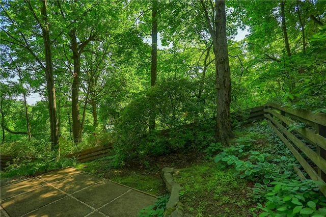 113 S Heide Ln, Peters Twp, PA 15317 - view of woods