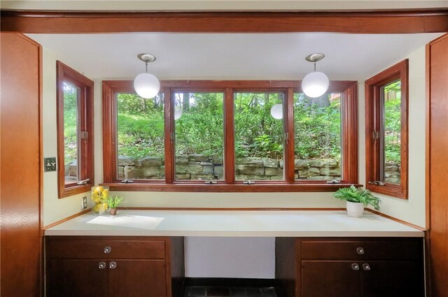 113 S Heide Ln, Peters Twp, PA 15317 - bar with decorative light fixtures and built in study area
