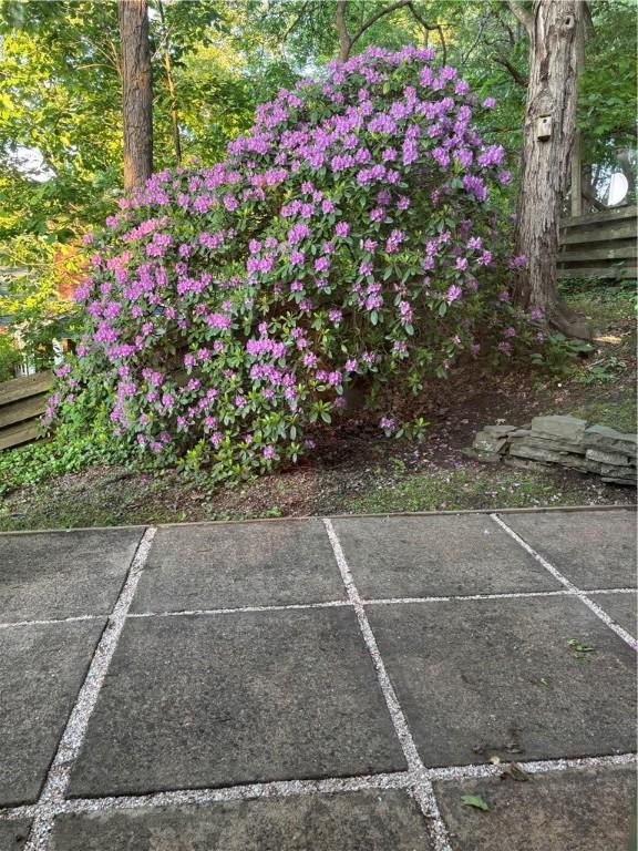 113 S Heide Ln, Peters Twp, PA 15317 - view of vehicle parking