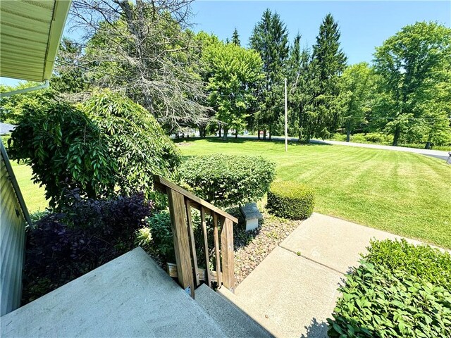 326 Aiken Rd, Shenango Twp Law, PA 16101 - view of grassy yard featuring a patio