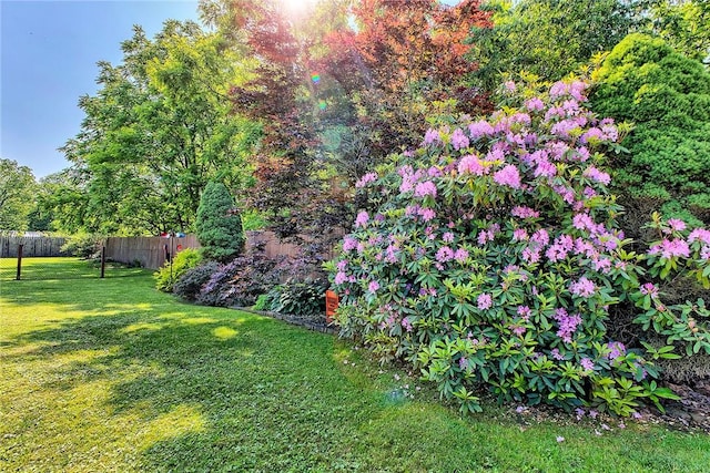 354 Moween Rd, Loyalhanna, PA 15681 - view of yard
