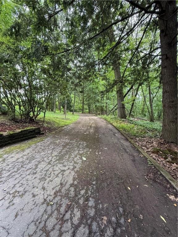 301 Hopper Rd, Delaware Twp, PA 16154 - view of asphalt street featuring a wooded view