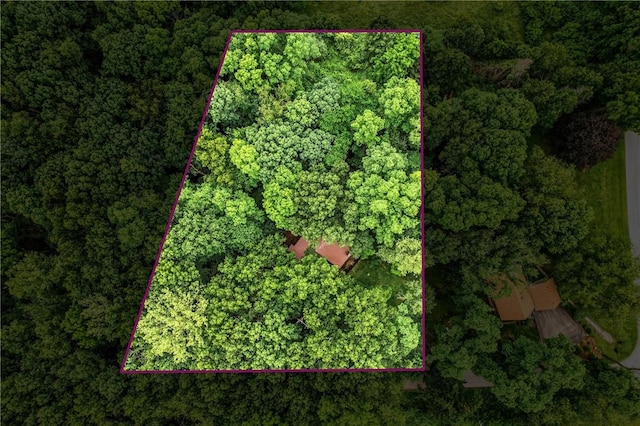 301 Hopper Rd, Delaware Twp, PA 16154 - aerial overview of property's location with property parcel outlined