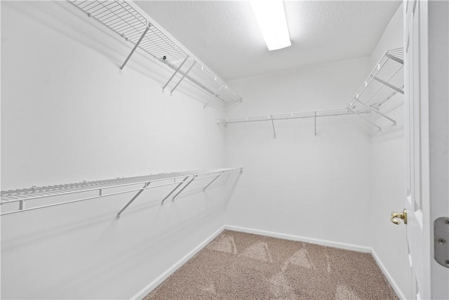 9404 Sundance Dr, South Fayette, PA 15017 - walk in closet with carpet