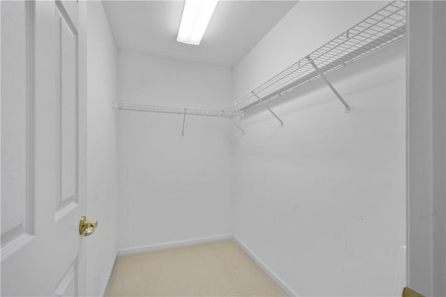 9404 Sundance Dr, South Fayette, PA 15017 - walk in closet featuring light carpet