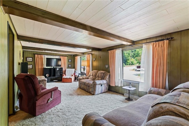 890 Deer Ln, Rochester Twp, PA 15074 - living area with wooden walls, carpet, and a wood ceiling with exposed beams