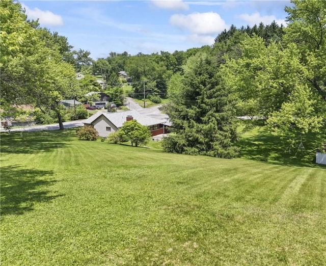 890 Deer Ln, Rochester Twp, PA 15074 - view of green lawn
