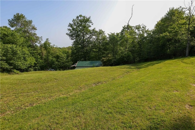 158 Snowdrift Rd, Nottingham, PA 15330 - view of green lawn with a view of trees