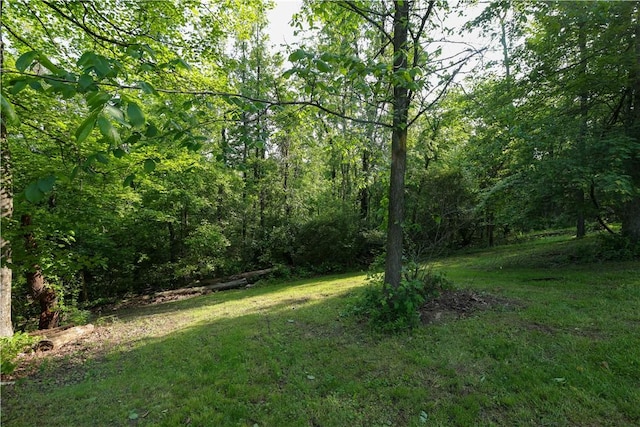 158 Snowdrift Rd, Nottingham, PA 15330 - view of grassy yard featuring a wooded view