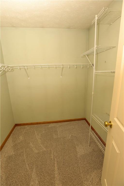 158 Snowdrift Rd, Nottingham, PA 15330 - spacious closet featuring carpet