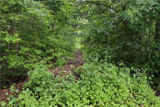 158 Snowdrift Rd, Nottingham, PA 15330 - view of nature