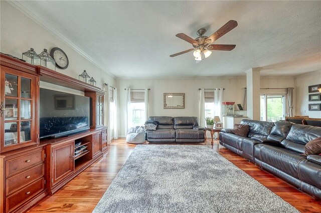 400 Chapel, Cranberry Twp, PA 16066 - living room featuring light wood-type flooring, ceiling fan, and crown molding