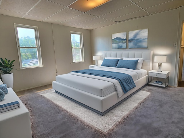 778 Millers Run Rd, Mcdonald Nwa, PA 15057 - carpeted bedroom featuring a paneled ceiling