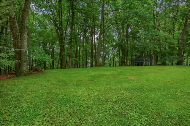 1259 Lakevue Dr, Penn Twp, PA 16001 - view of grassy yard featuring a trampoline