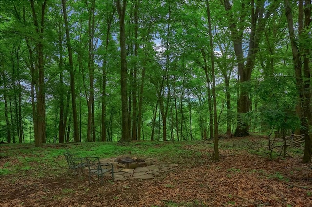 1259 Lakevue Dr, Penn Twp, PA 16001 - view of wooded area