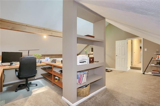 1259 Lakevue Dr, Penn Twp, PA 16001 - office space with carpet floors and vaulted ceiling
