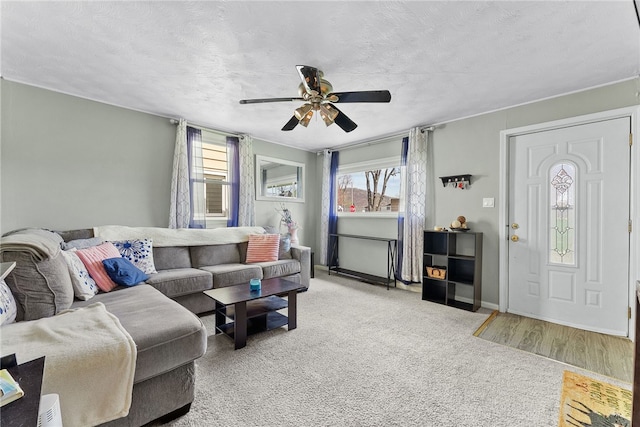 205 Cottage St, Neville Twp, PA 15225 - living area featuring a ceiling fan, a textured ceiling, and carpet