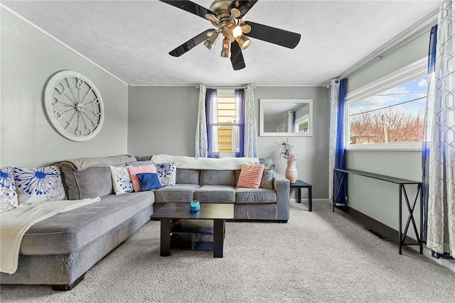 205 Cottage St, Neville Twp, PA 15225 - living area with carpet and ceiling fan