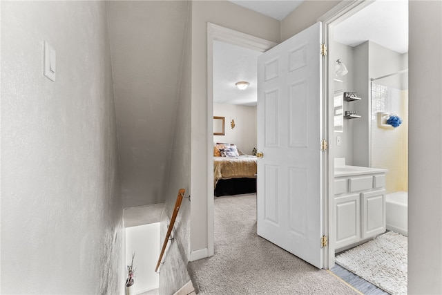 205 Cottage St, Neville Twp, PA 15225 - corridor with an upstairs landing and light carpet