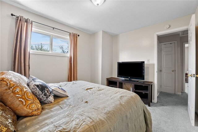 205 Cottage St, Neville Twp, PA 15225 - bedroom with light carpet