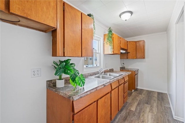 1723 Kimball Ave, Arnold, PA 15068 - kitchen with under cabinet range hood, wood finished floors, brown cabinetry, and ornamental molding