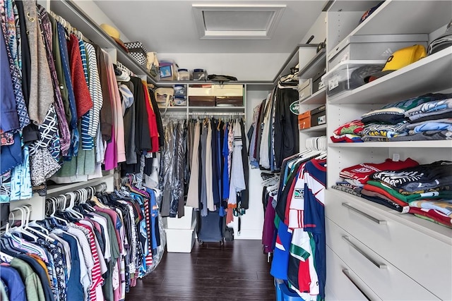 413 Cayuga Cir, Marshall, PA 16046 - walk in closet with attic access and wood finished floors
