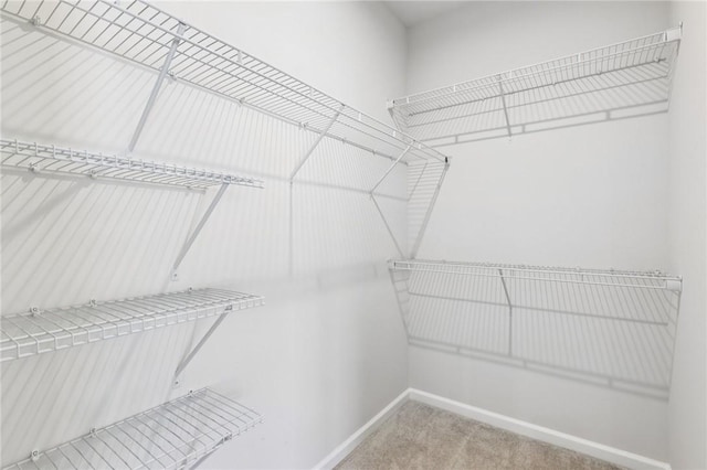 489 Nolan Cir, Cranberry Twp, PA 16066 - spacious closet featuring carpet flooring