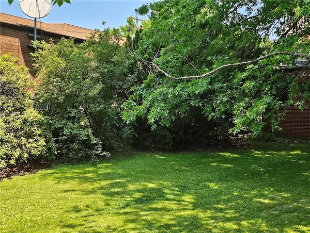 418 S Main St, Slippery Rock Boro, PA 16057 - view of grassy yard