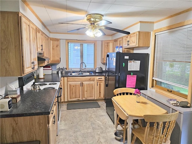 418 S Main St, Slippery Rock Boro, PA 16057 - kitchen featuring range with electric stovetop, under cabinet range hood, ceiling fan, dark countertops, and ornamental molding