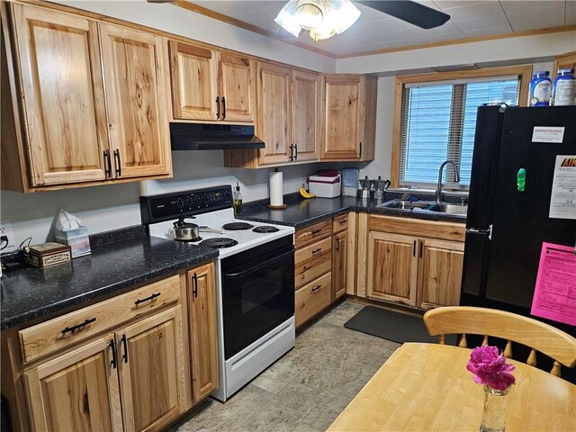 418 S Main St, Slippery Rock Boro, PA 16057 - kitchen with electric range, freestanding refrigerator, under cabinet range hood, and ceiling fan