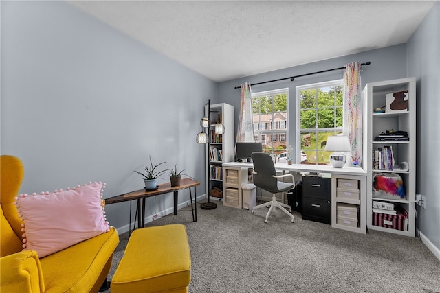 1020 Granite Dr, South Fayette, PA 15057 - office featuring carpet floors and a textured ceiling
