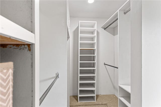 5 Robin Dr, South Strabane, PA 15301 - spacious closet with carpet