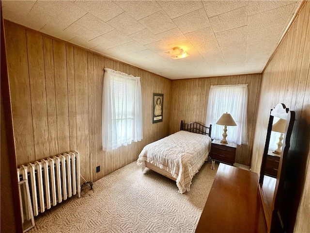 328 N Gallatin Ave, North Union Twp, PA 15401 - carpeted bedroom with radiator, multiple windows, and wood walls