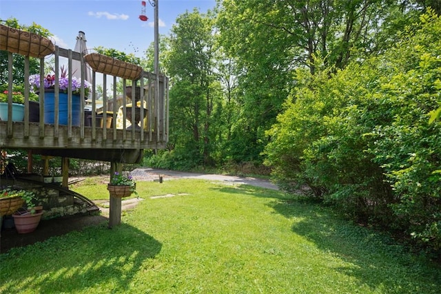 1153 Robinson Hwy, Robinson Twp Wsh, PA 15057 - view of green lawn with stairs