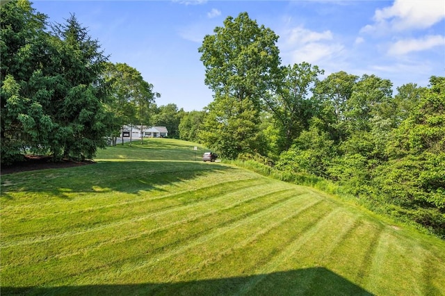 101 Creekside Dr, Buffalo Twp, PA 16055 - view of grassy yard