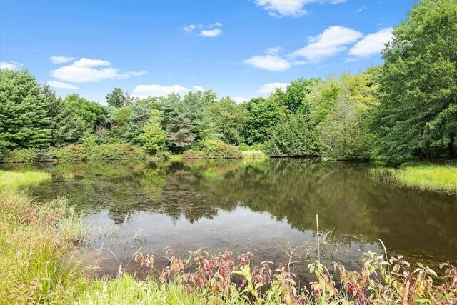101 Creekside Dr, Buffalo Twp, PA 16055 - water view with a forest