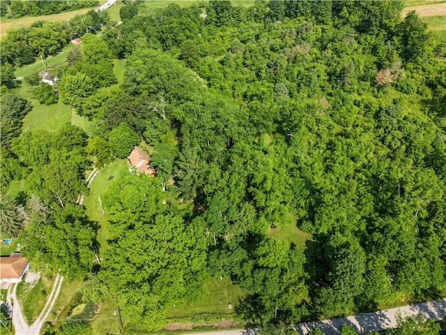 117 Havers Hill Rd, Jefferson/Mather, PA 15344 - drone / aerial view