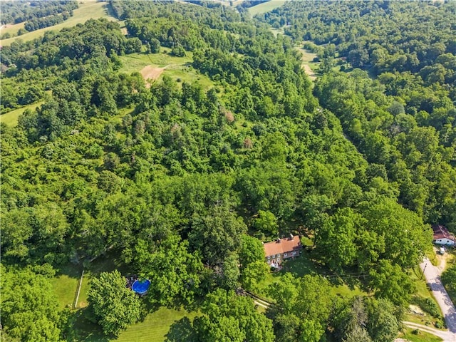 117 Havers Hill Rd, Jefferson/Mather, PA 15344 - view of property location featuring a heavily wooded area