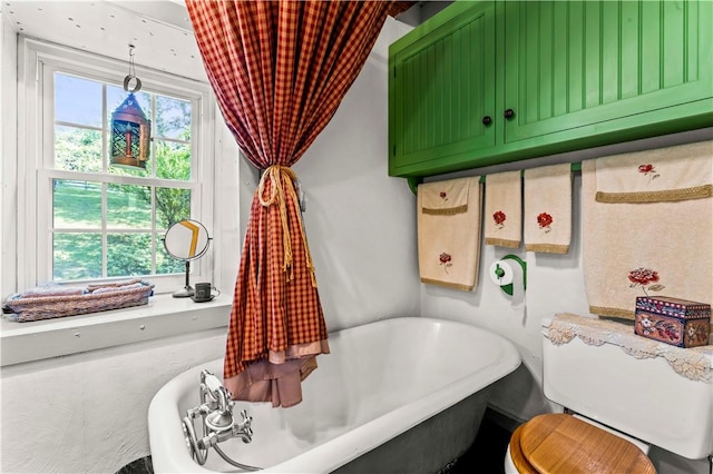 117 Havers Hill Rd, Jefferson/Mather, PA 15344 - full bathroom featuring a freestanding tub and toilet